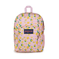 Big Student Backpack