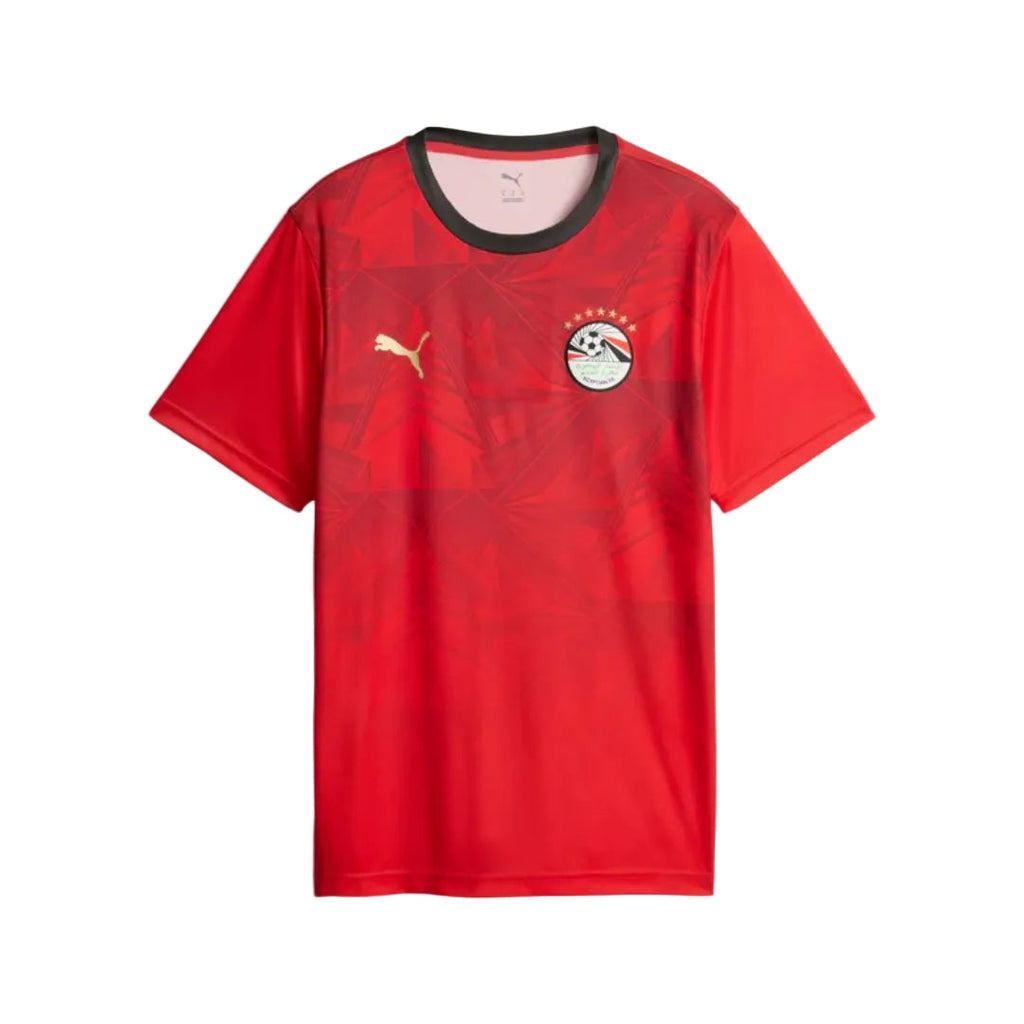 EFA Home Fan Jersey II