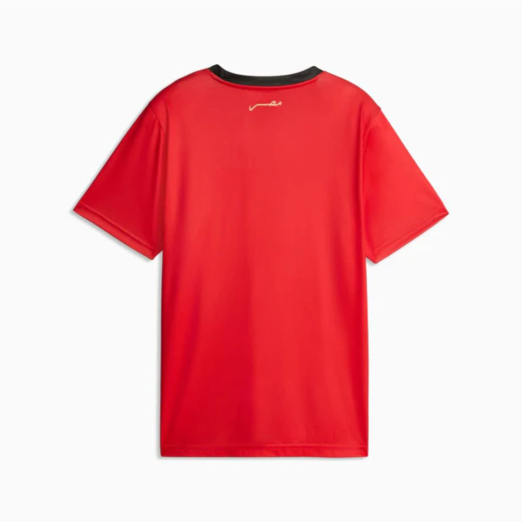 EFA Home Fan Jersey II