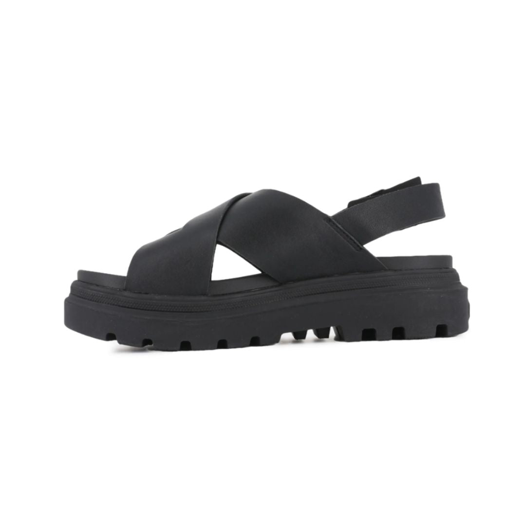Palladium Pallacruise Crossed