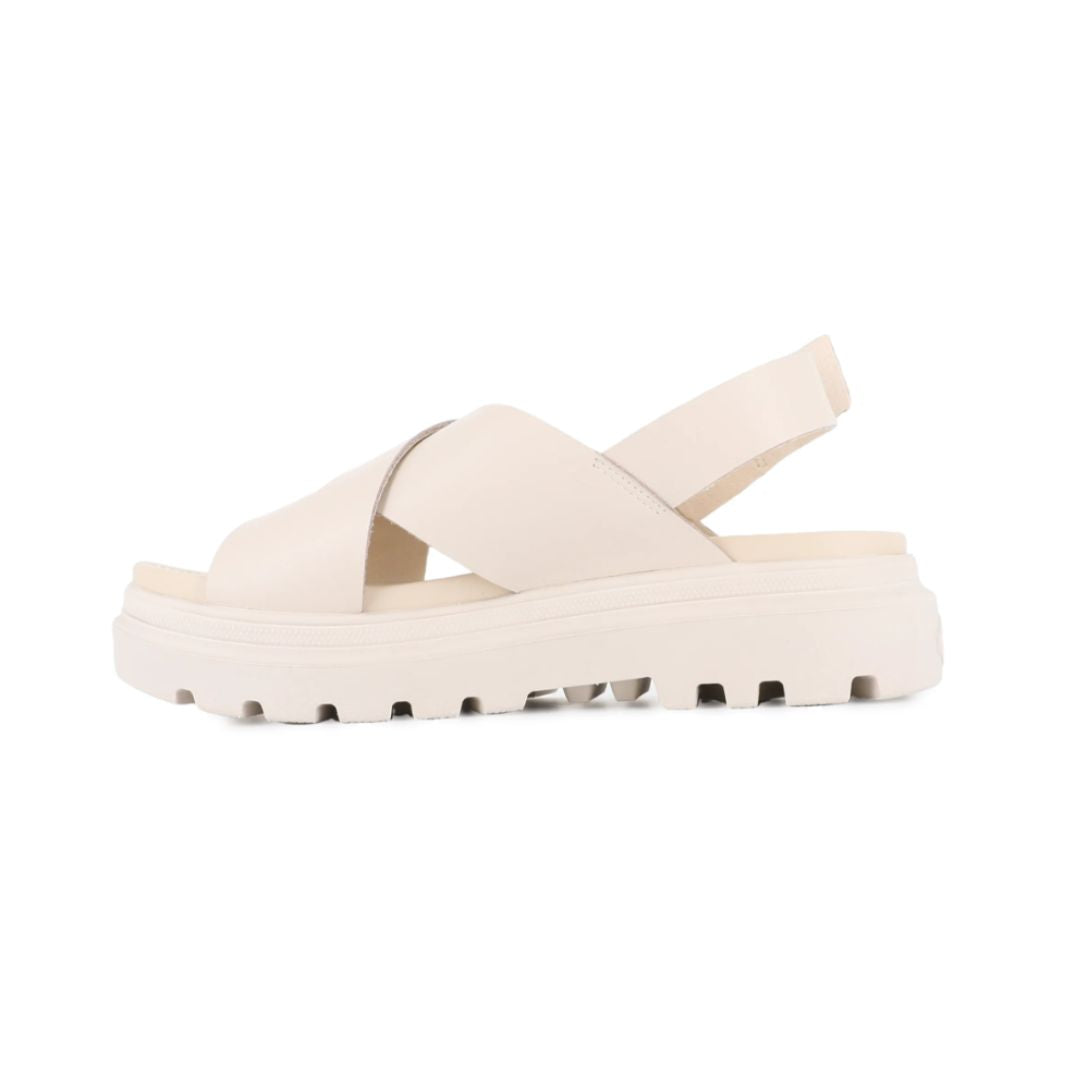Palladium Pallacruise Crossed