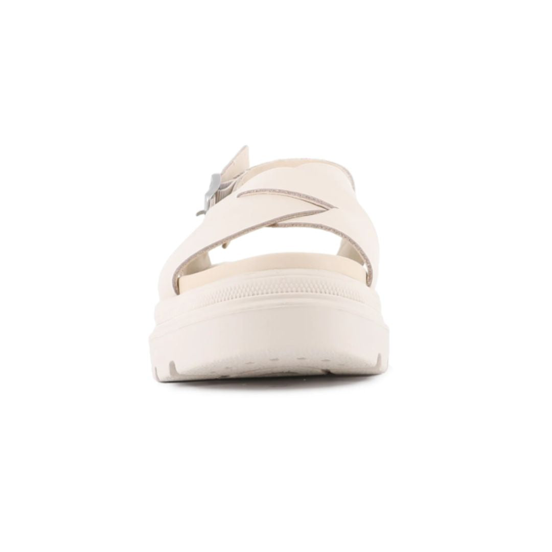 Palladium Pallacruise Crossed