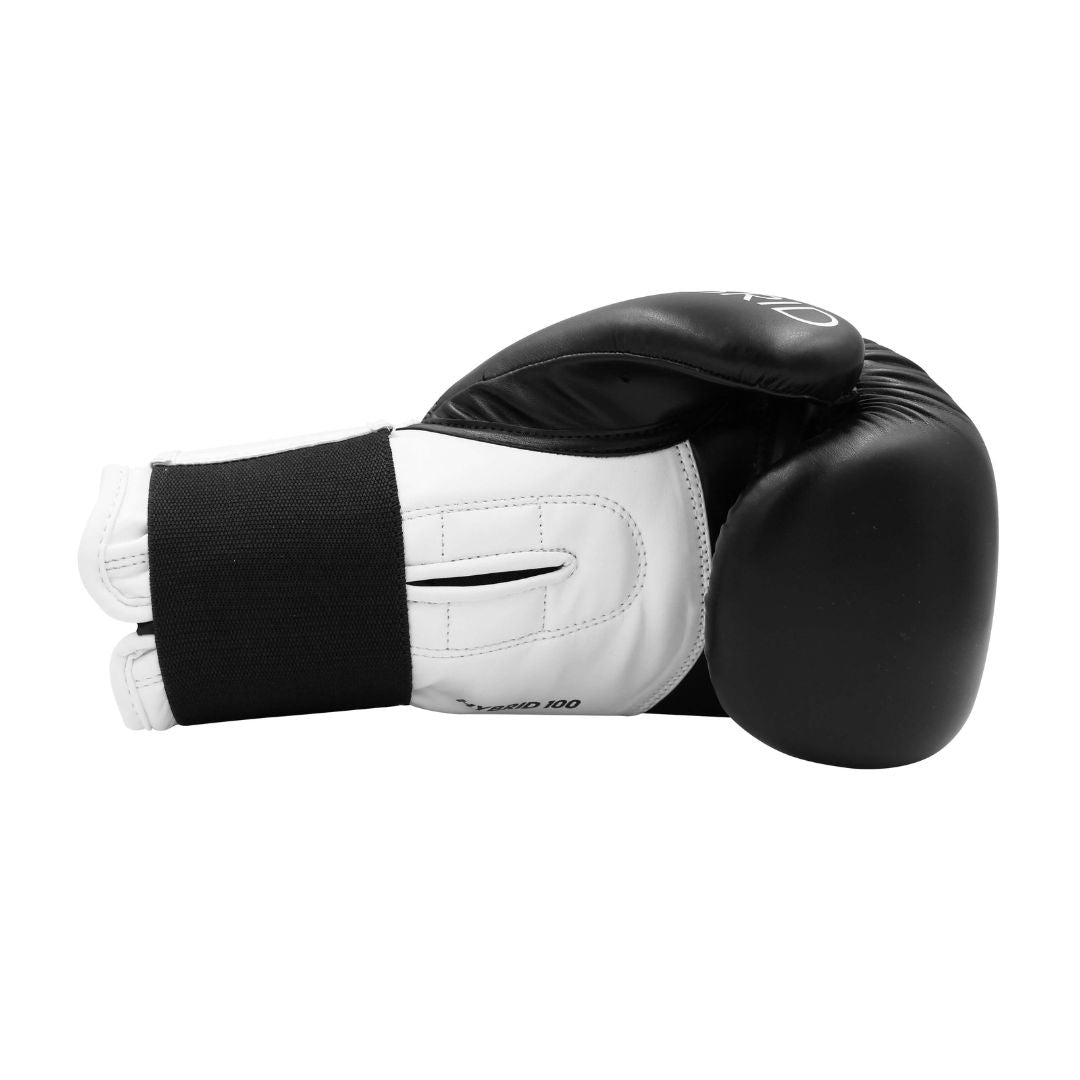 Boxing Gloves Hybrid-100
