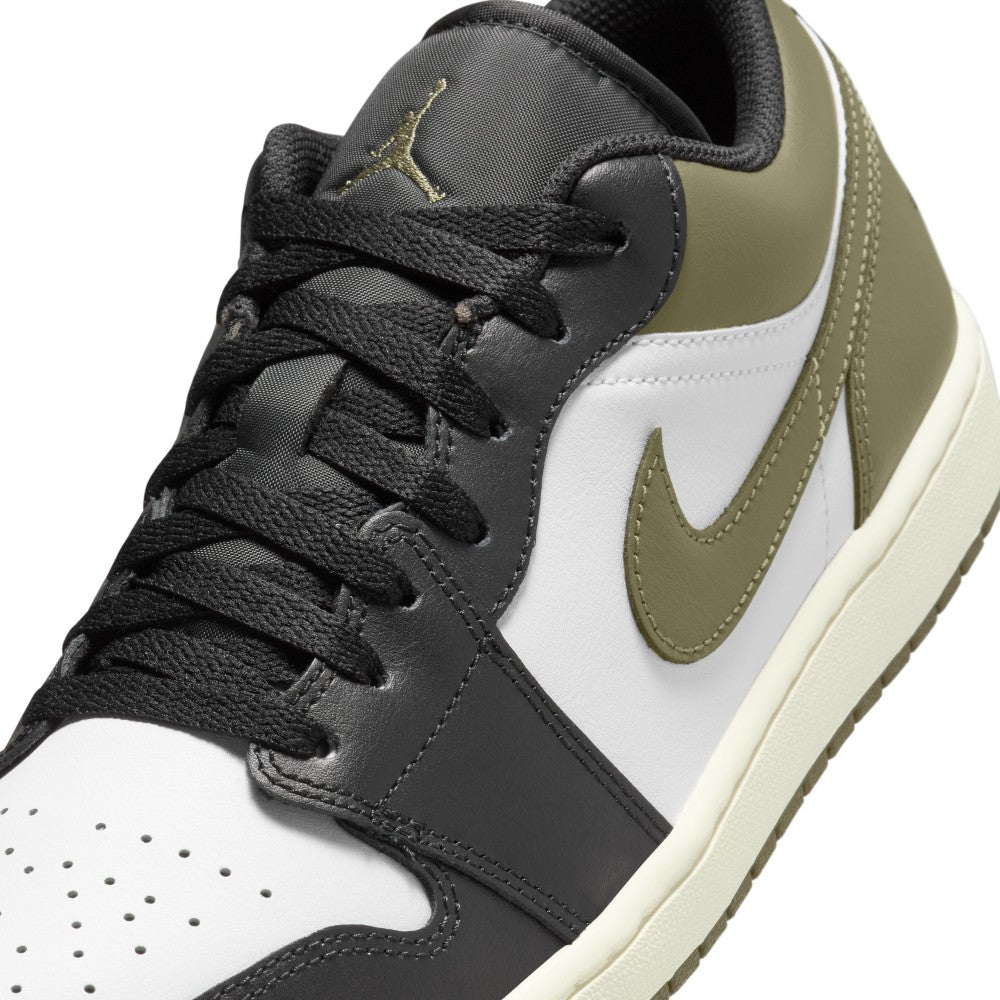 Air Jordan 1 Low Lifestyle Shoes
