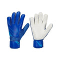GK Match Goalkeeper Gloves