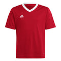 Entrada 22 Jersey