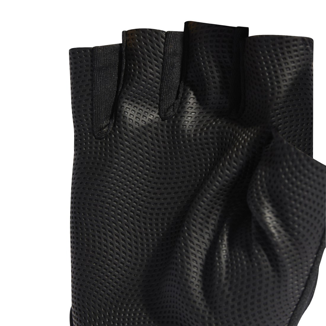 Training Gloves