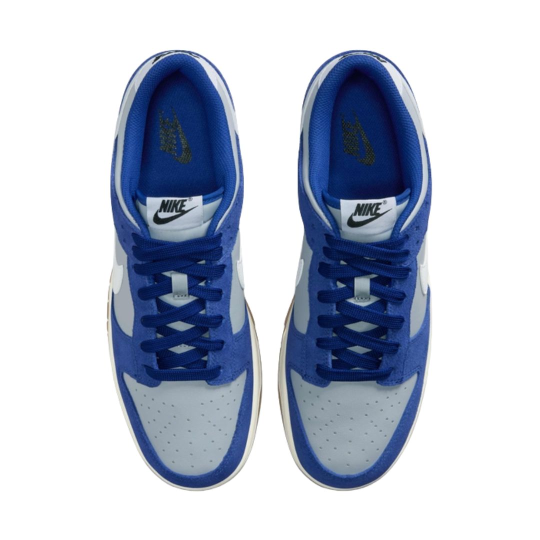 Dunk Low Retro SE Shoes