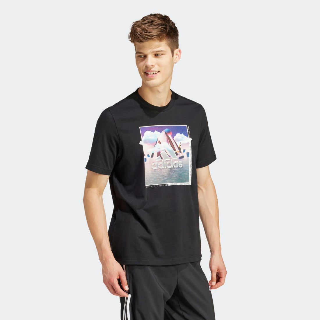 Landscape Badge Graphic T-Shirt