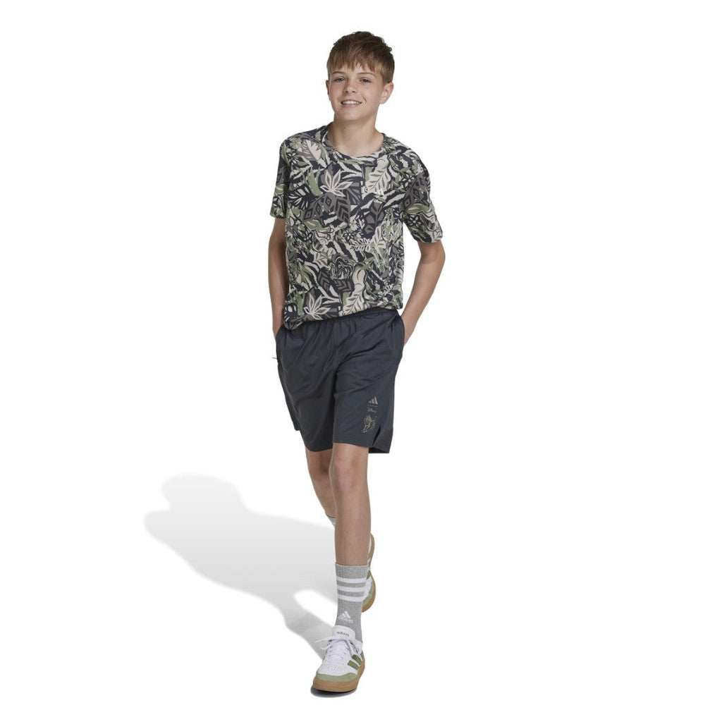 Disney Lion King Shorts