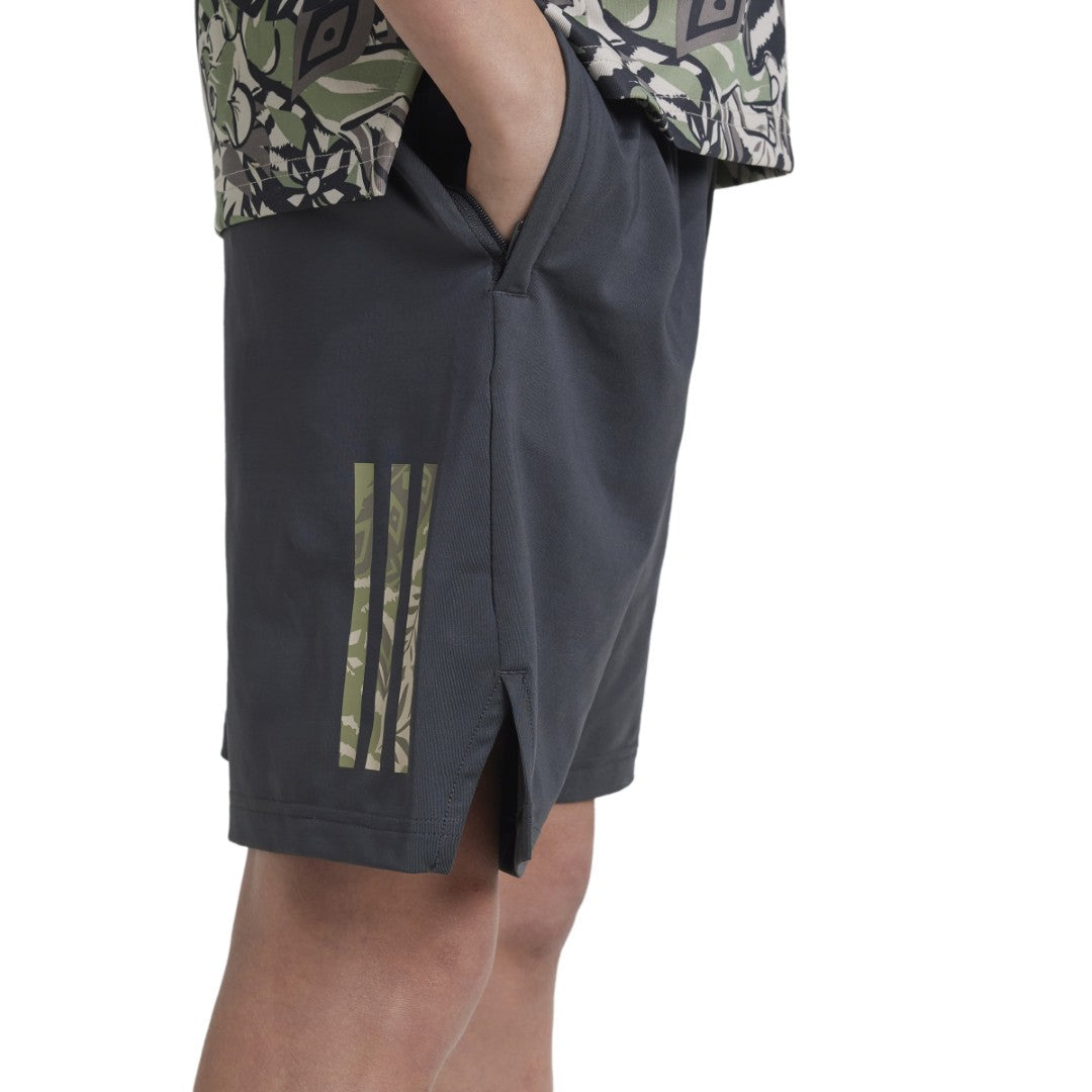 Disney Lion King Shorts