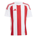 Striped 24 Jersey