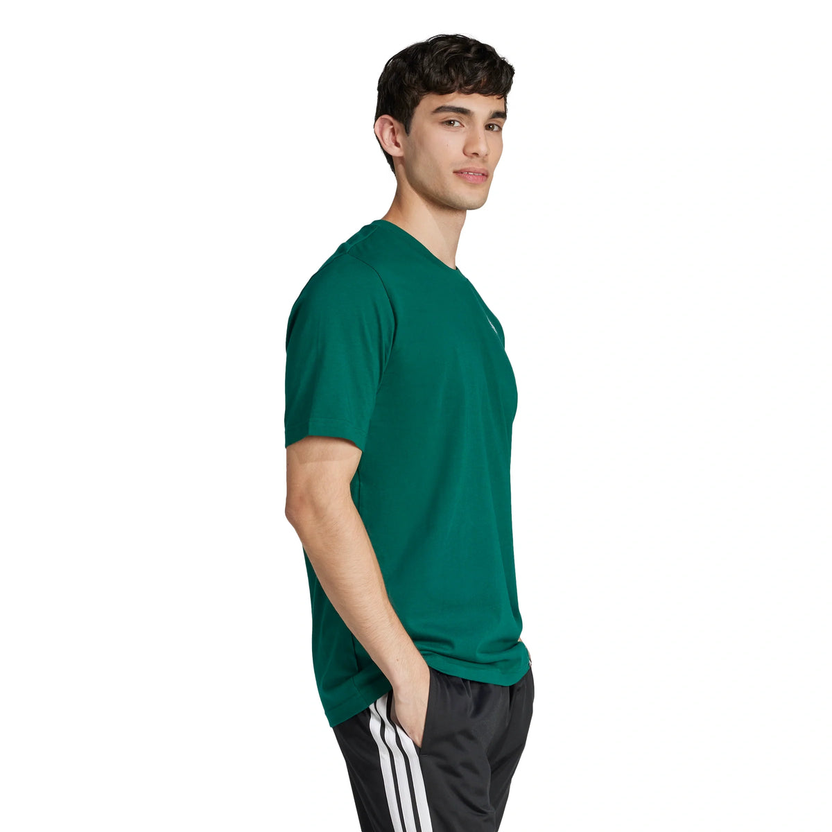 Lounge Still Life Bowl Graphic T-shirt