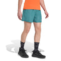 Terrex Multi Shorts