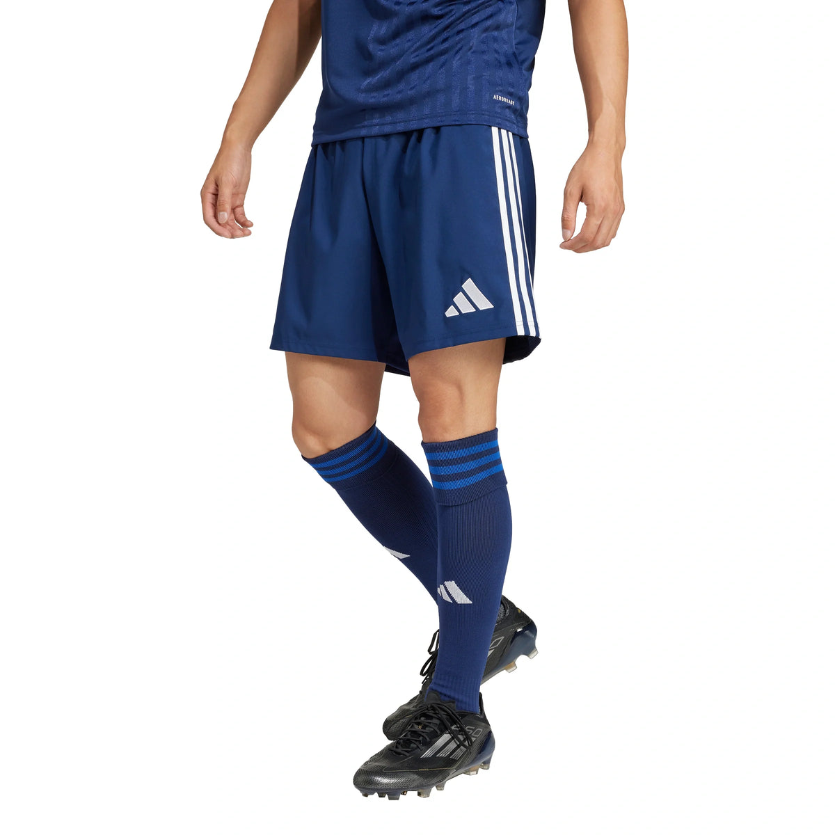 Tastigo 25 Shorts