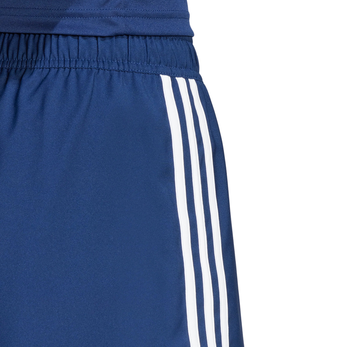 Tastigo 25 Shorts