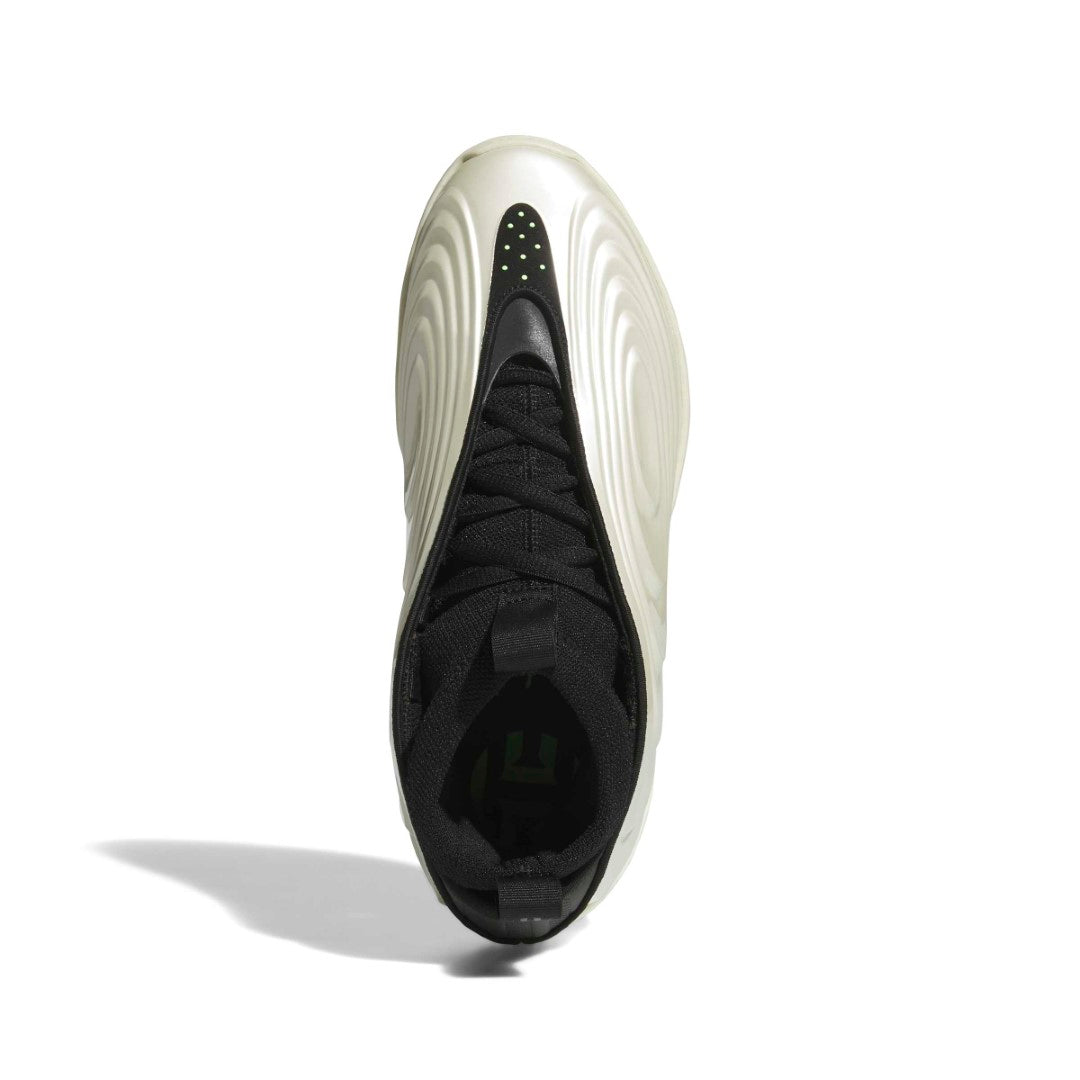 Harden Volume 10 Shoes