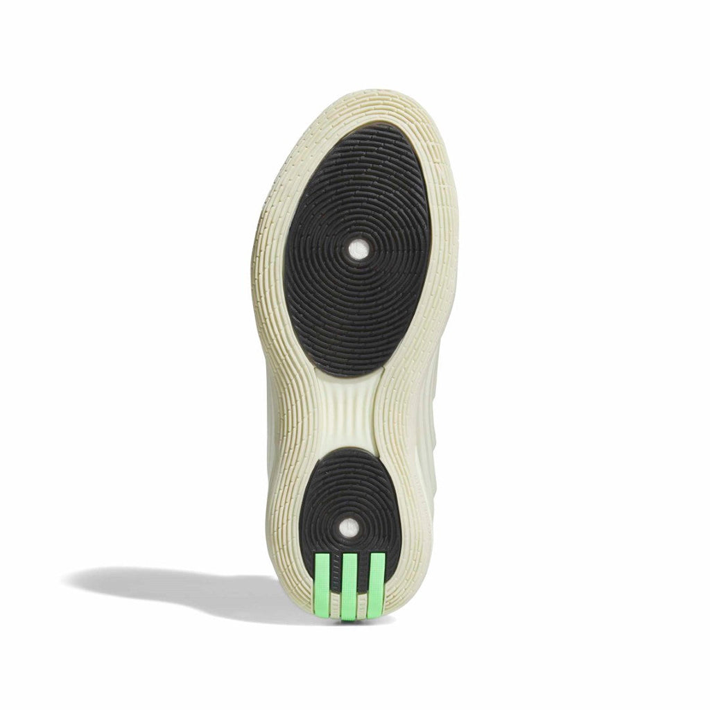 Harden Volume 10 Shoes