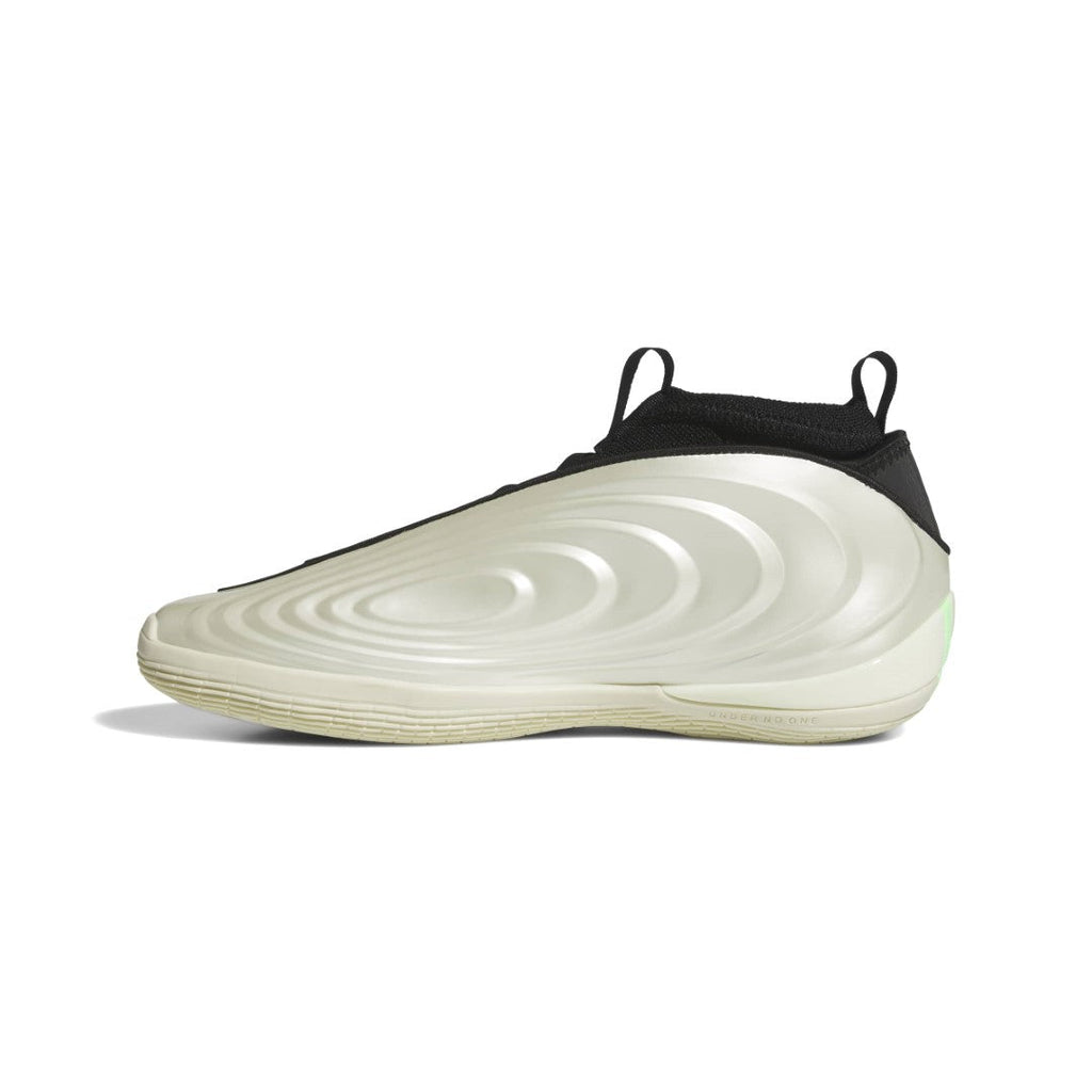 Harden Volume 10 Shoes