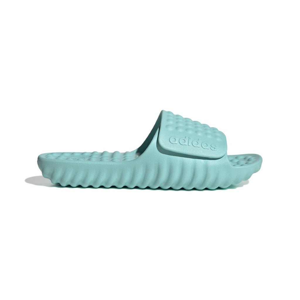 Adissage 360Rec Slides