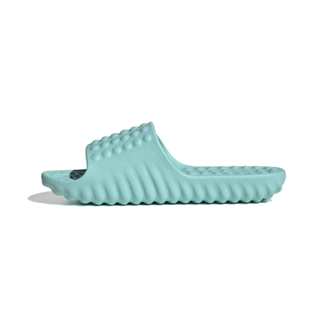 Adissage 360Rec Slides