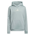 adidas Unisex Juniors Climawarm Graphic Hoodie - Wonder Sage