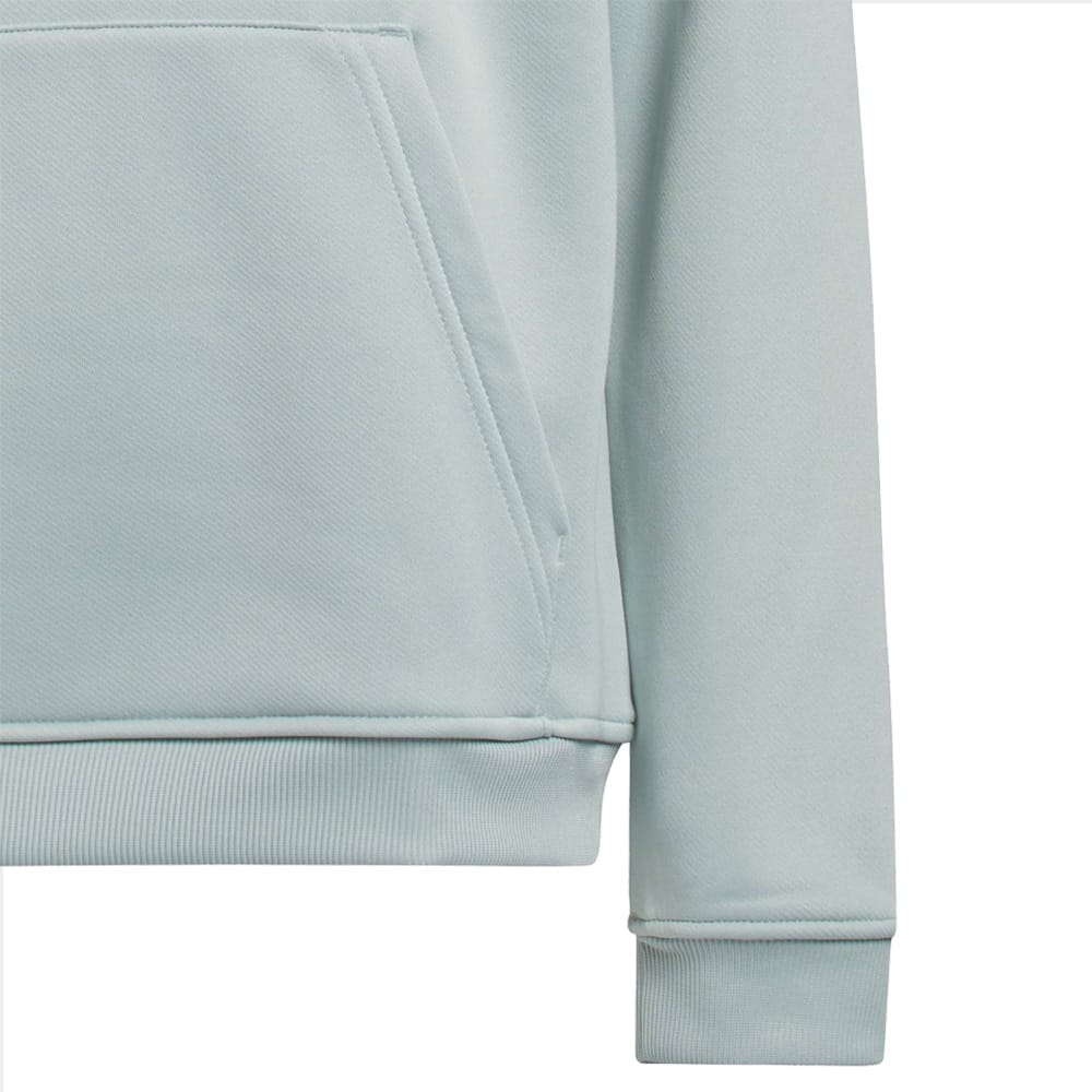 adidas Unisex Juniors Climawarm Graphic Hoodie - Wonder Sage