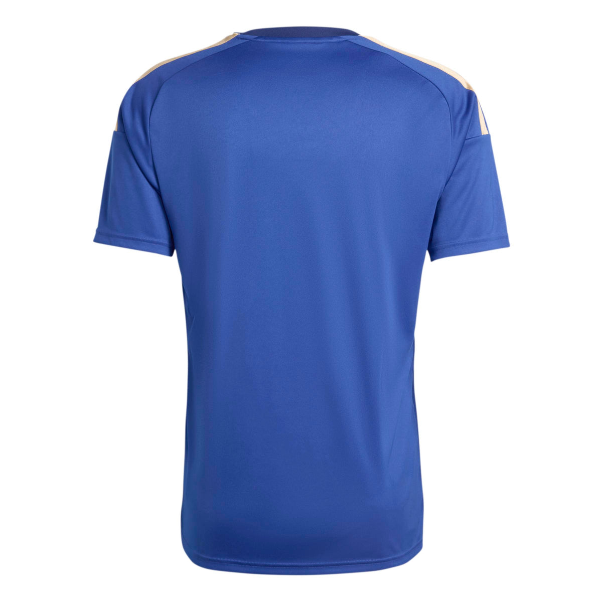Italy 26 Home Fan Jersey