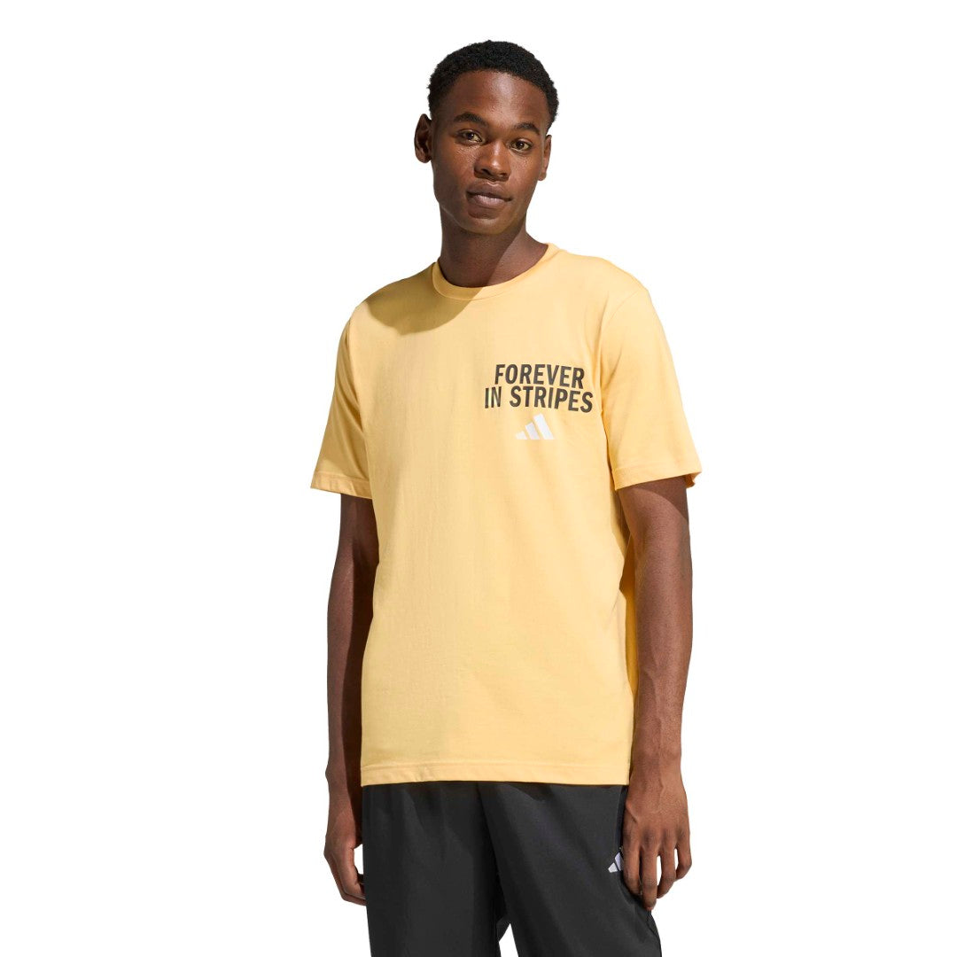 Forever In Stripes Graphic T-Shirt
