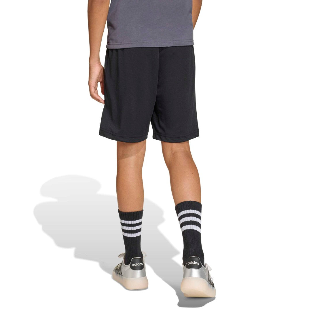 Minecraft Training Short