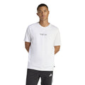 Coffee Cafe Donut Box Graphic T-Shirt