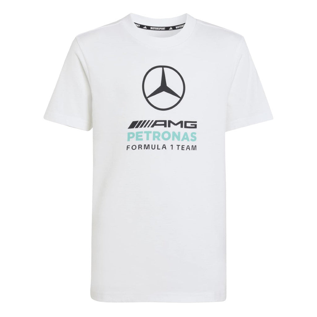 Mercedes - Amg Petronas Formula 1 Team Dna Graphic T-Shirt