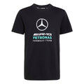 Mercedes - Amg Petronas Formula 1 Team Dna Graphic T-Shirt