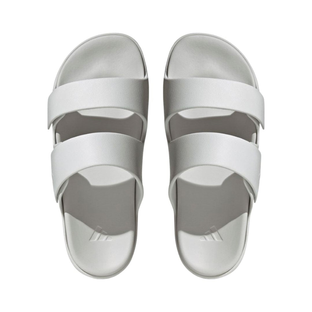 Znsory Slides
