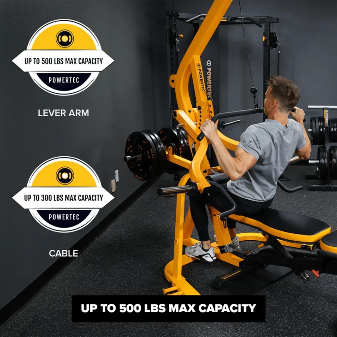 Lever Gym (LS20)