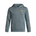 UA Icon Fleece Taping Hoodie